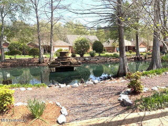 101 Brookside Circle, Clinton, Mississippi image 31