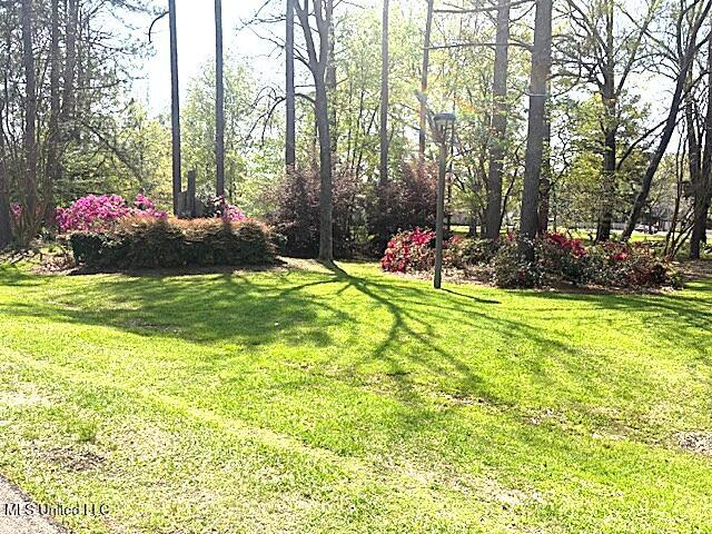 101 Brookside Circle, Clinton, Mississippi image 29