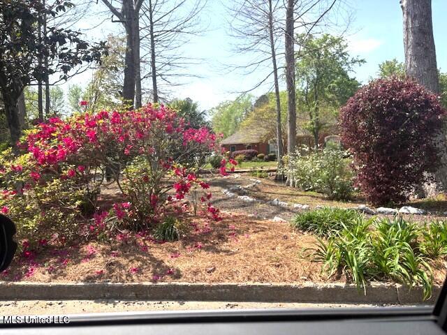 101 Brookside Circle, Clinton, Mississippi image 38