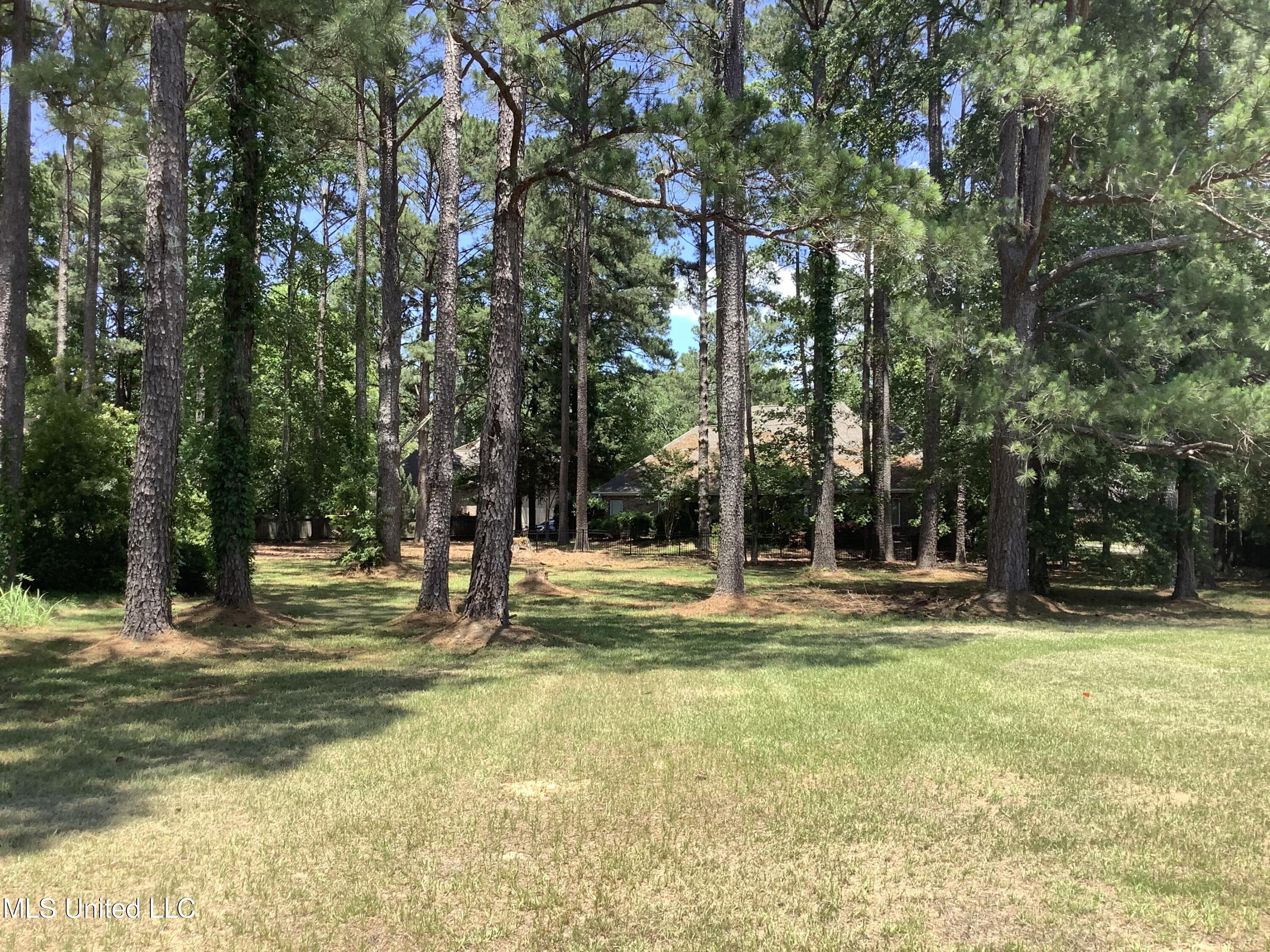 98 Palisades Boulevard, Brandon, Mississippi image 1