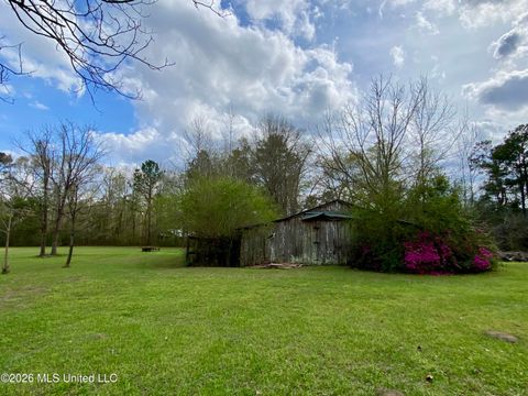 Vacant Land For Sale - 118 Mcneil-henleyfield Road<br/> Carriere, MS 39426