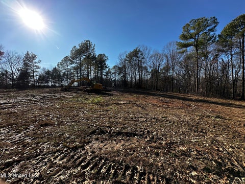 Vacant Land For Sale - Curbo Lane<br/> Olive Branch, MS 38654