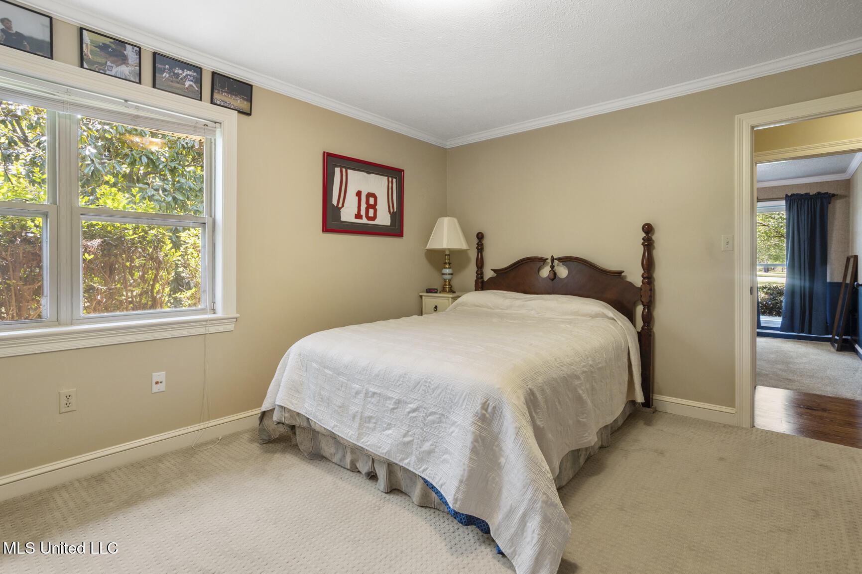238 Sundial Road, Madison, Mississippi image 33