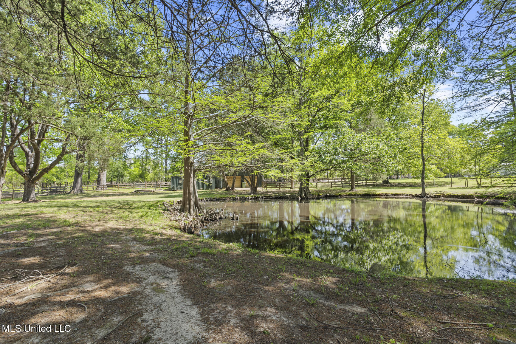 238 Sundial Road, Madison, Mississippi image 46