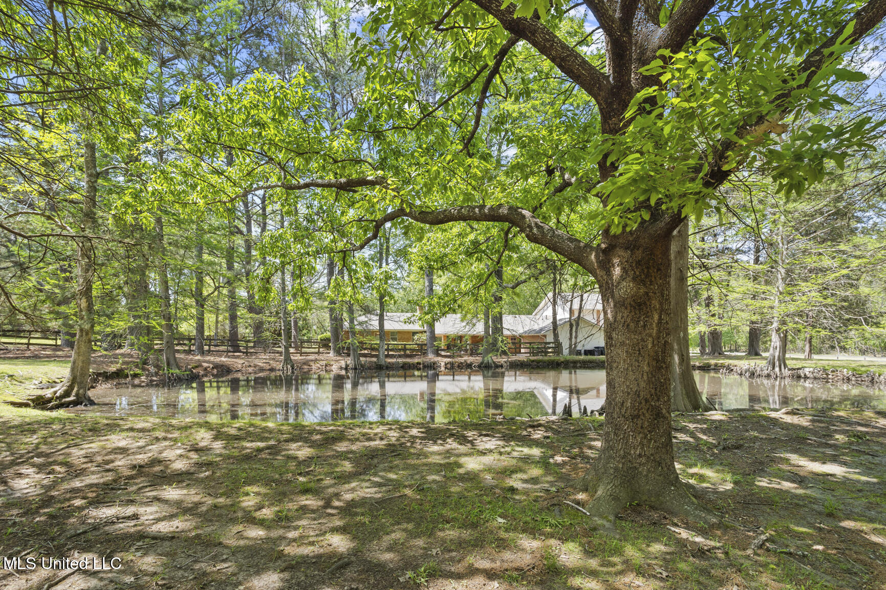 238 Sundial Road, Madison, Mississippi image 49
