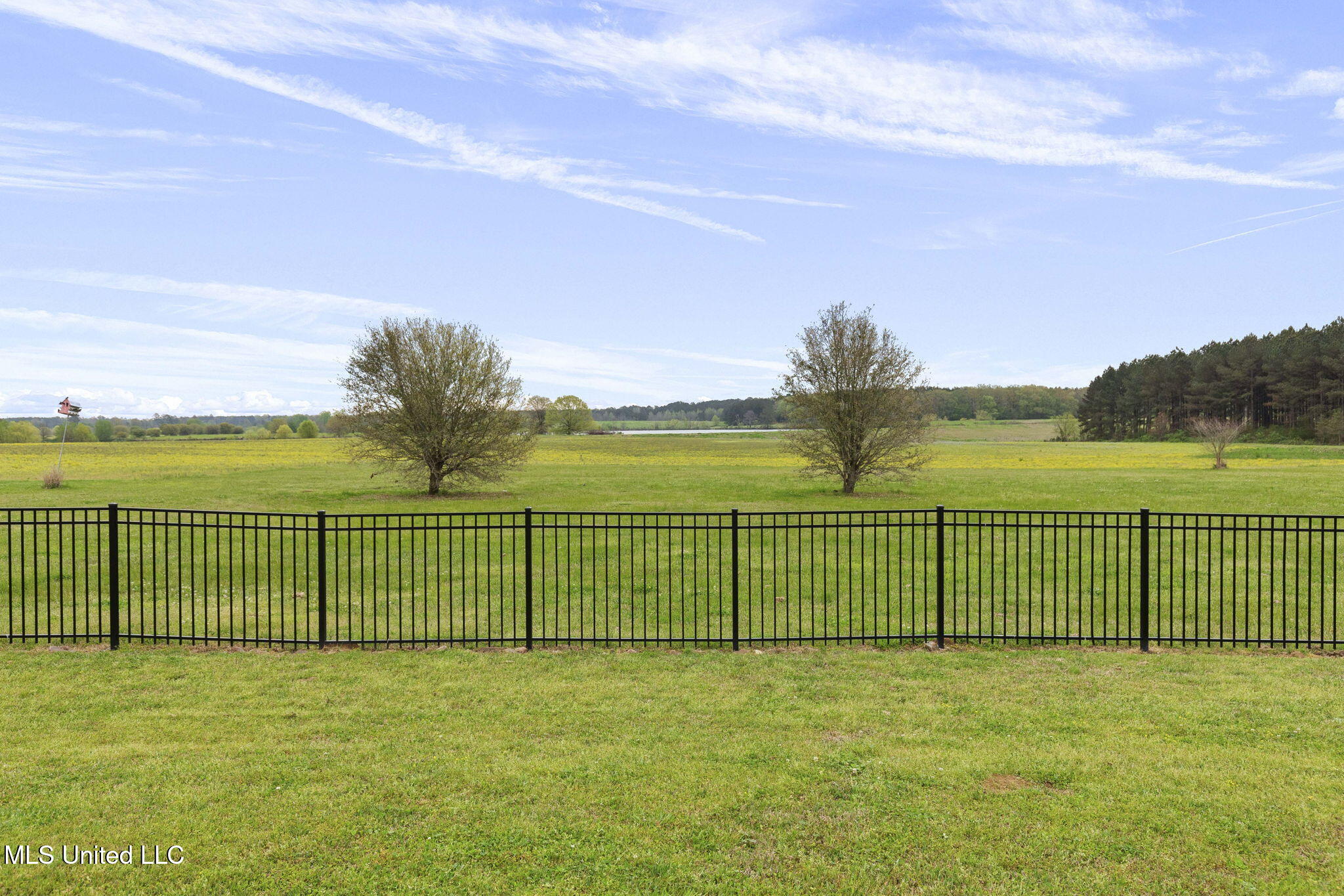 712 Leesburg Road, Pelahatchie, Mississippi image 45