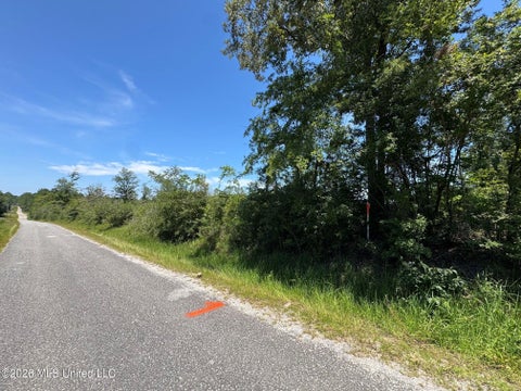 Vacant Land For Sale - 1 Dubose Road<br/> Lumberton, MS 39455