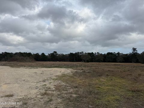 Vacant Land For Sale - 19910 Highway 43<br/> Picayune, MS 39466
