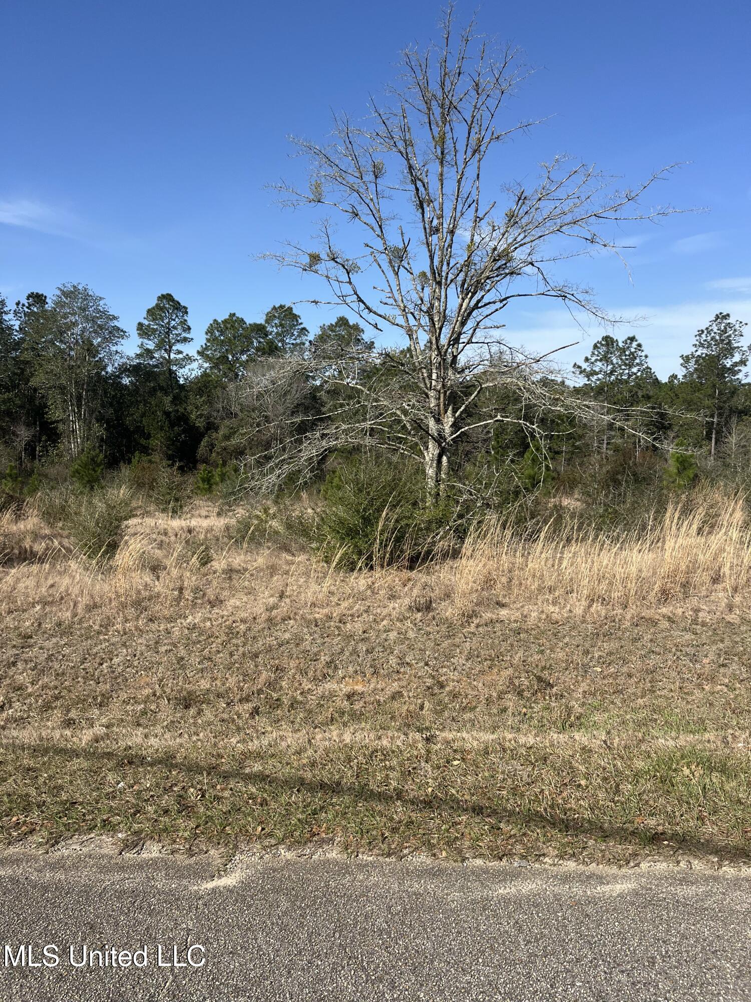 Long Vue Drive, Picayune, Mississippi image 1