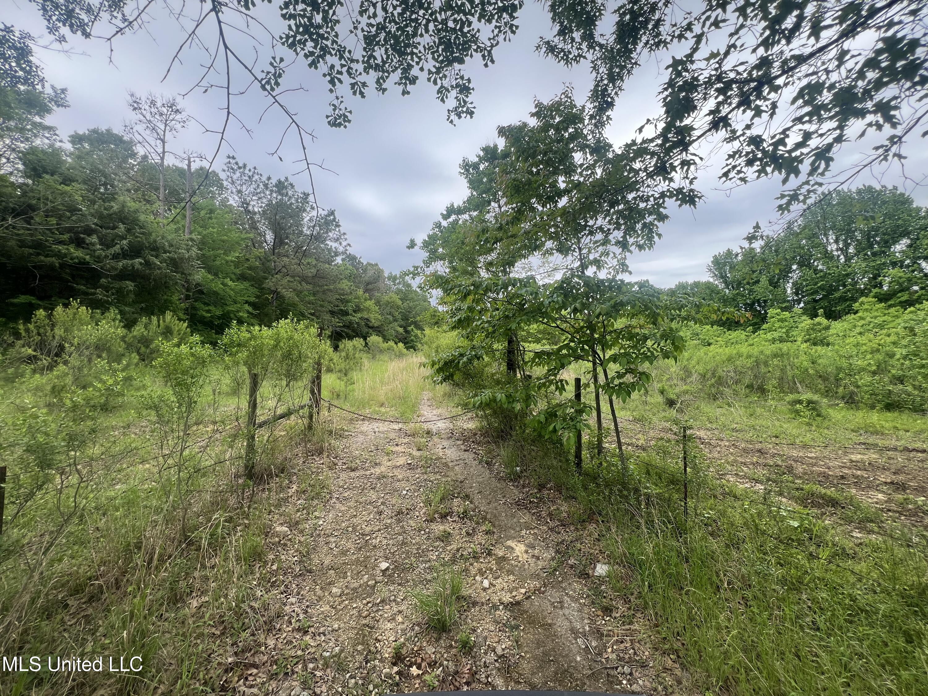 N Livingston Road, Madison, Mississippi image 6