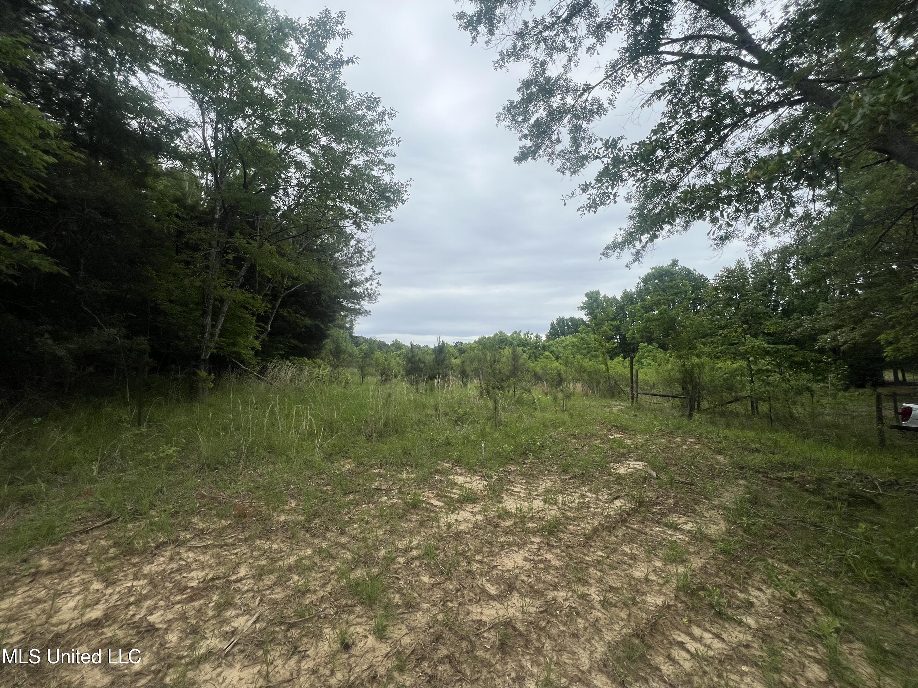 N Livingston Road, Madison, Mississippi image 4