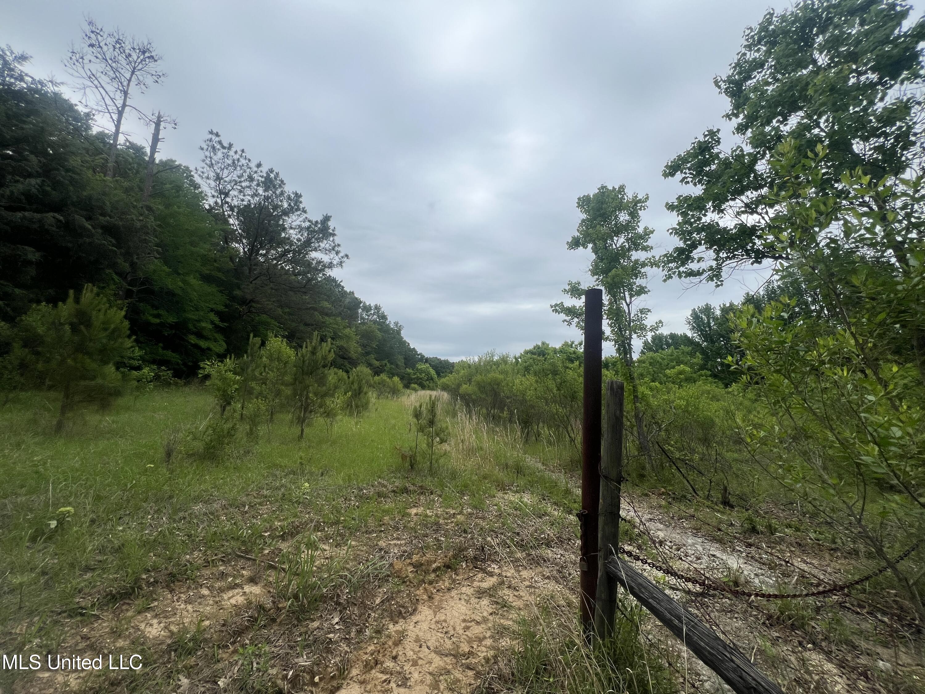 N Livingston Road, Madison, Mississippi image 3
