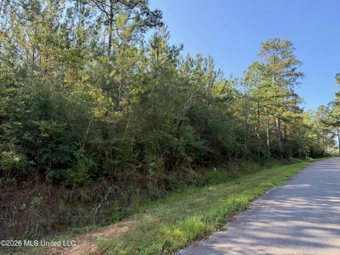 Vacant Land For Sale - 9 +/- AC Fork Road<br/> Lucedale, MS 39452