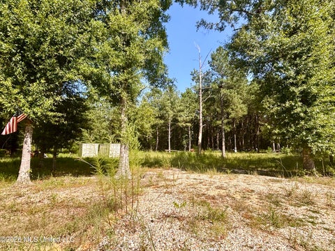 Vacant Land For Sale - Robert Rhodes<br/> Poplarville, MS 39470