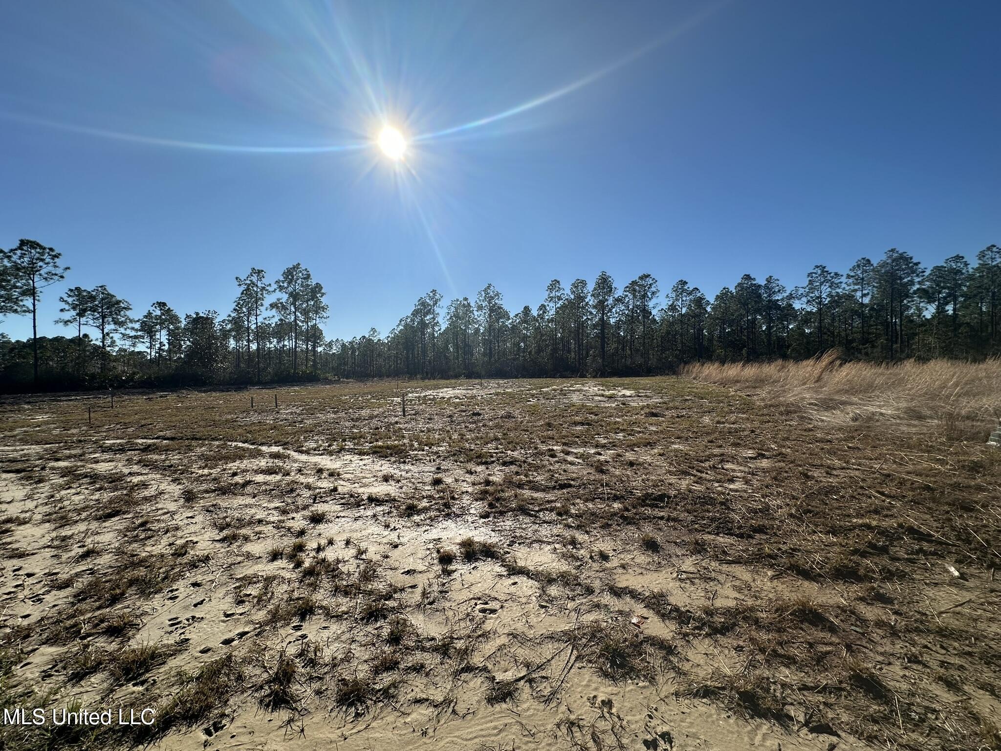 11039 Grace Drive, Gulfport, Mississippi image 3