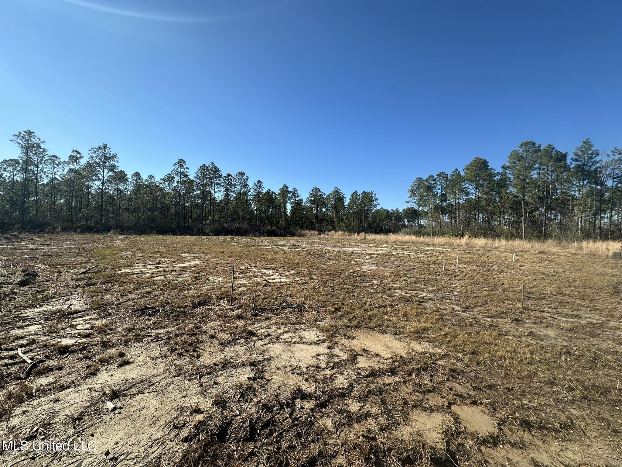 11039 Grace Drive, Gulfport, Mississippi image 6