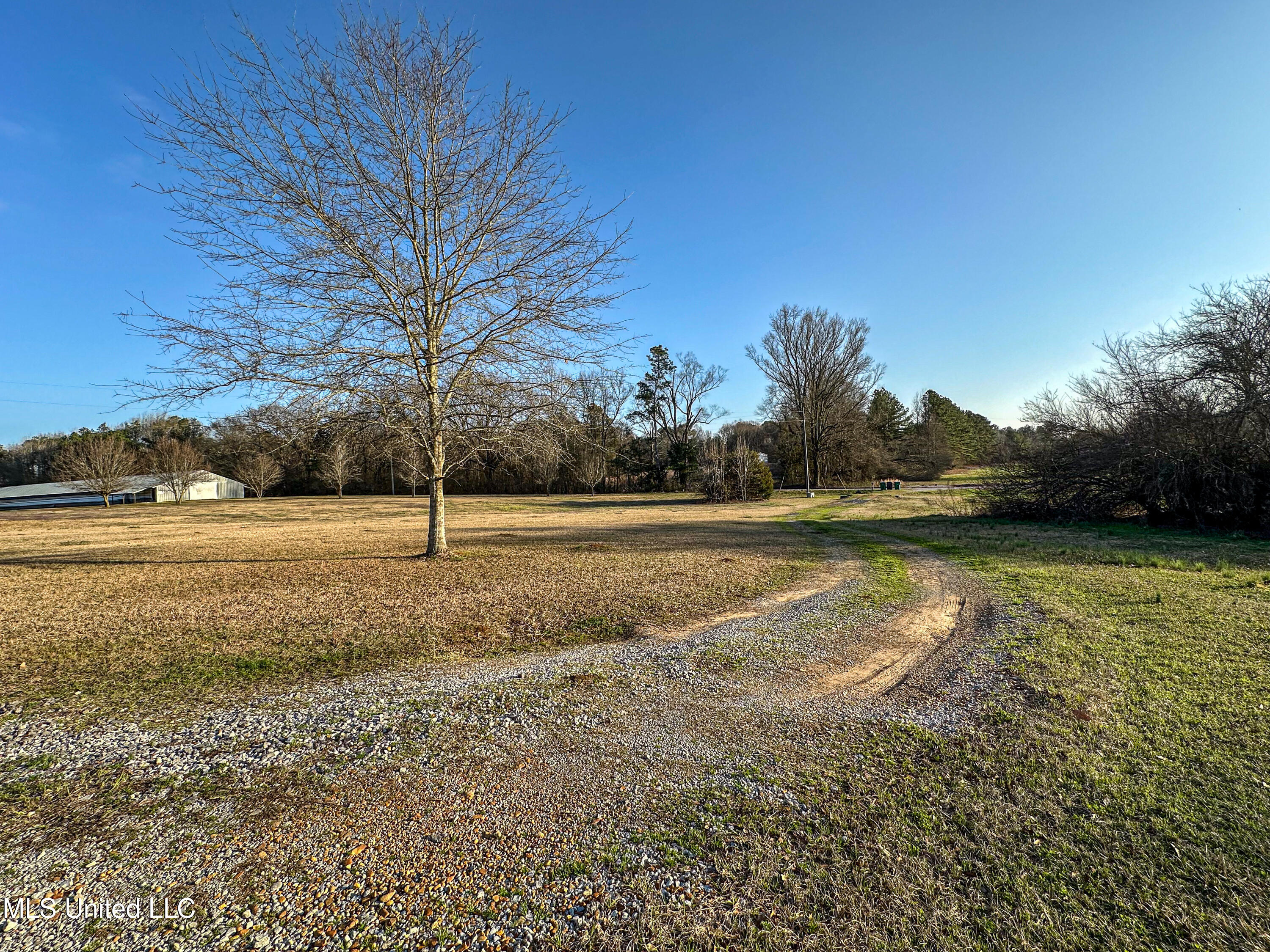 713 Keeli Road Road, Carthage, Mississippi image 43