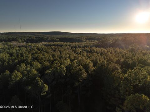 Vacant Land For Sale - County Road 2414<br/> Jasper County, Louin, MS 39338