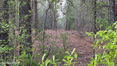 Vacant Land For Sale - Us-80<br/> Lawrence, MS 39336