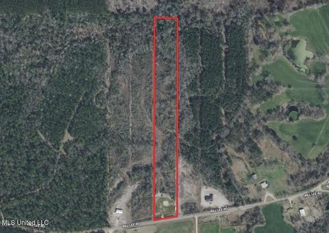 Vacant Land For Sale - Will Lee Road<br/> Lumberton, MS 39455