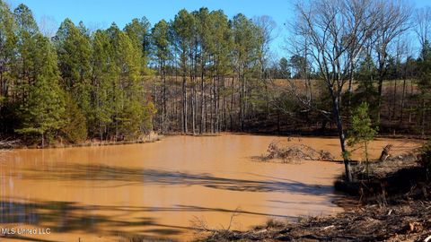 Vacant Land For Sale - 732 Graysport Crossing Road<br/> Gore Springs, MS 38929