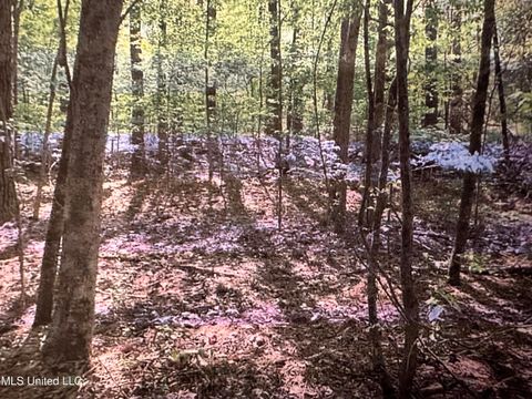 Vacant Land For Sale - Stigler Rosa Dr.<br/> Florence, MS 39073