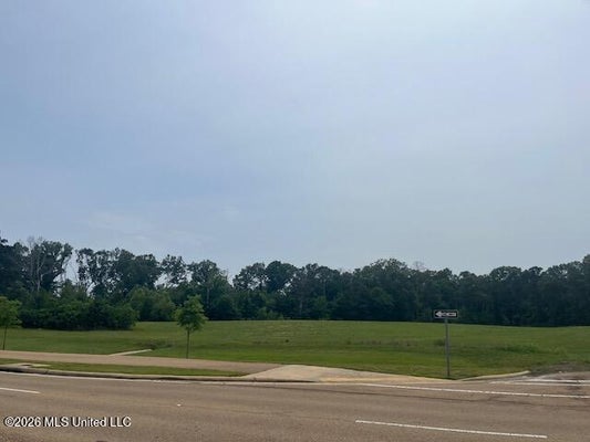 COLONY RIDGE CT, RIDGELAND, MS 39157 - Image f48dd5ae0bdc32950fa40ba0ab3cbc7e/2528811511