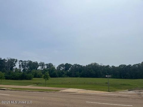 SE Colony Park Boulevard Ridgeland MS 39157