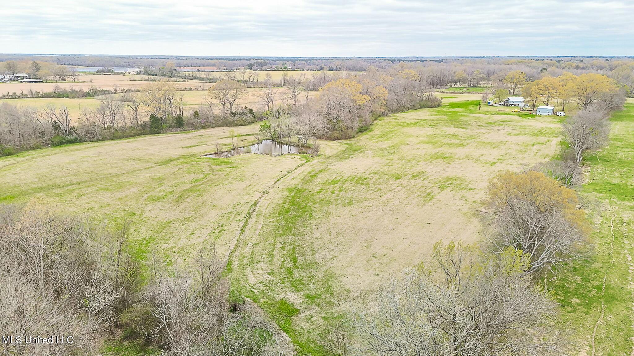 707 Endris Road, Canton, Mississippi image 23