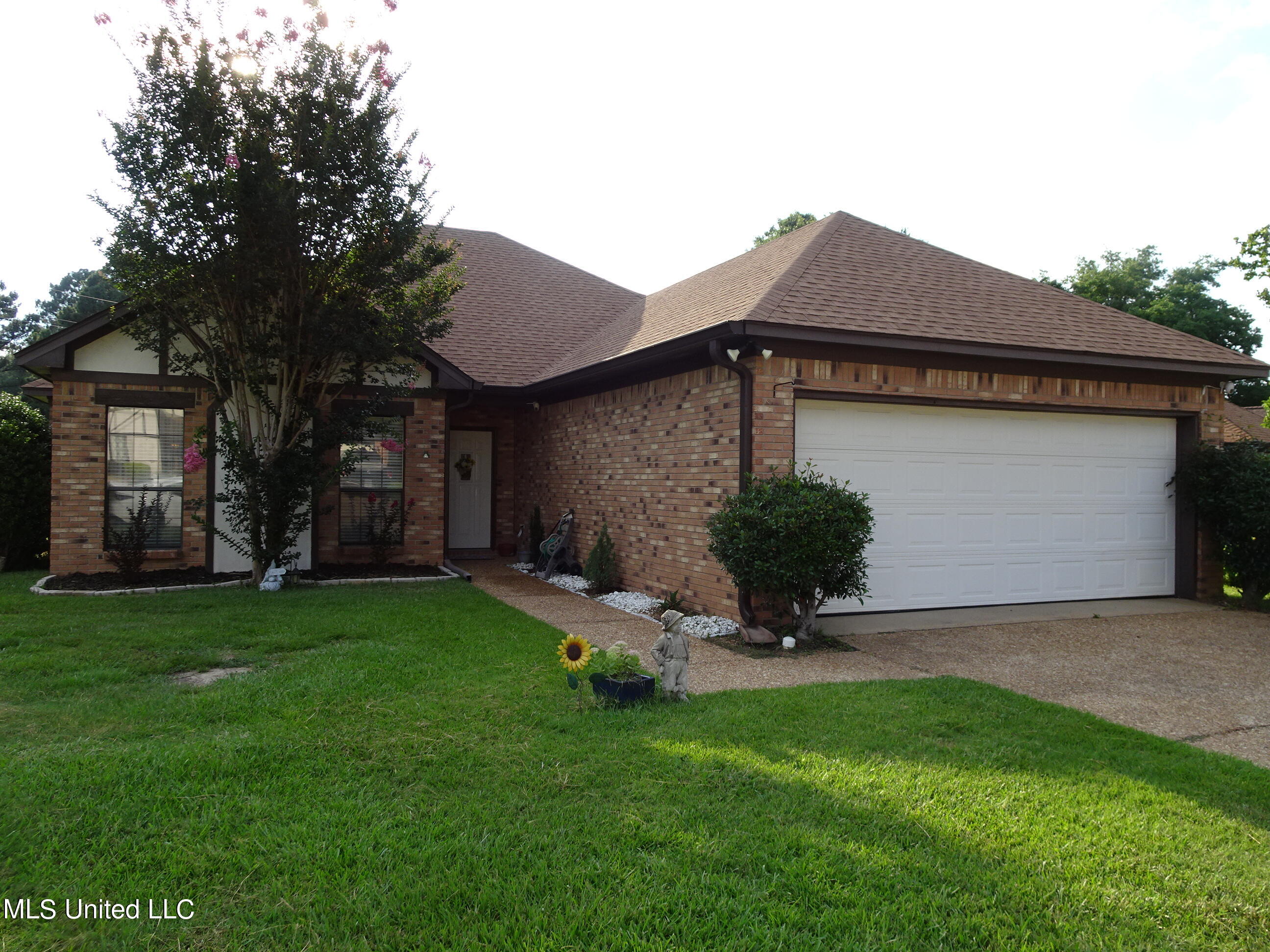 355 Wicklow Circle, Brandon, Mississippi image 1