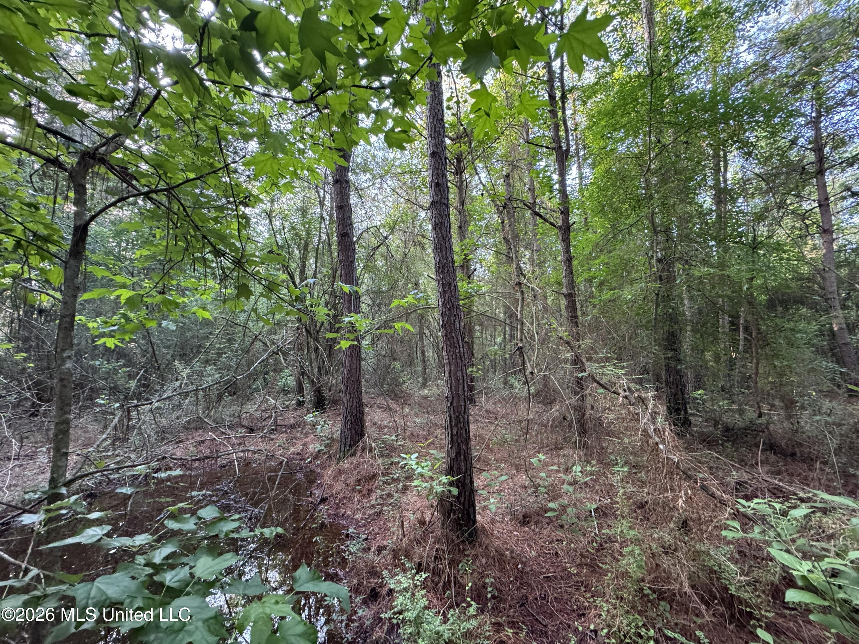 N Lot 3 River Road