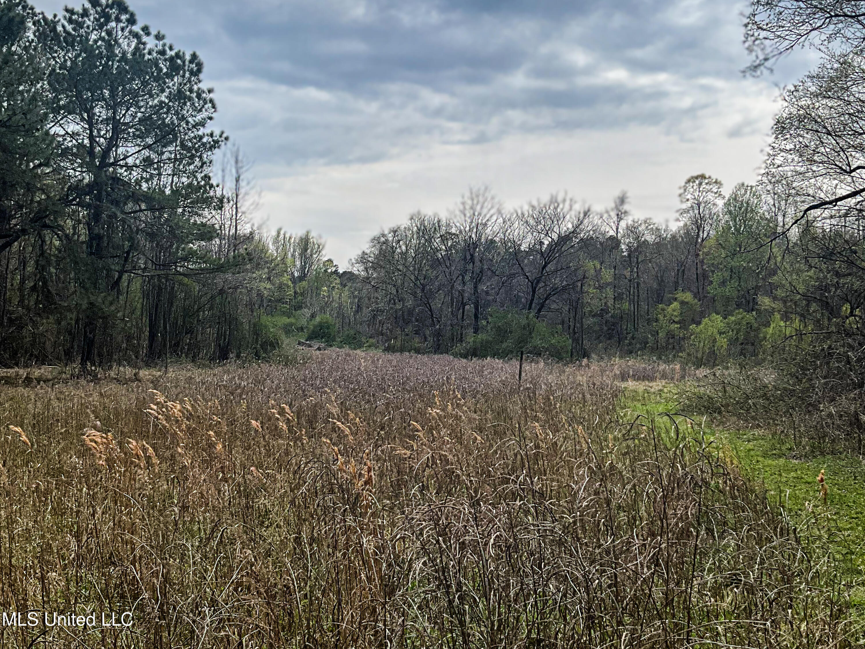 1172 Little Creek Drive, Oakland, Mississippi image 34