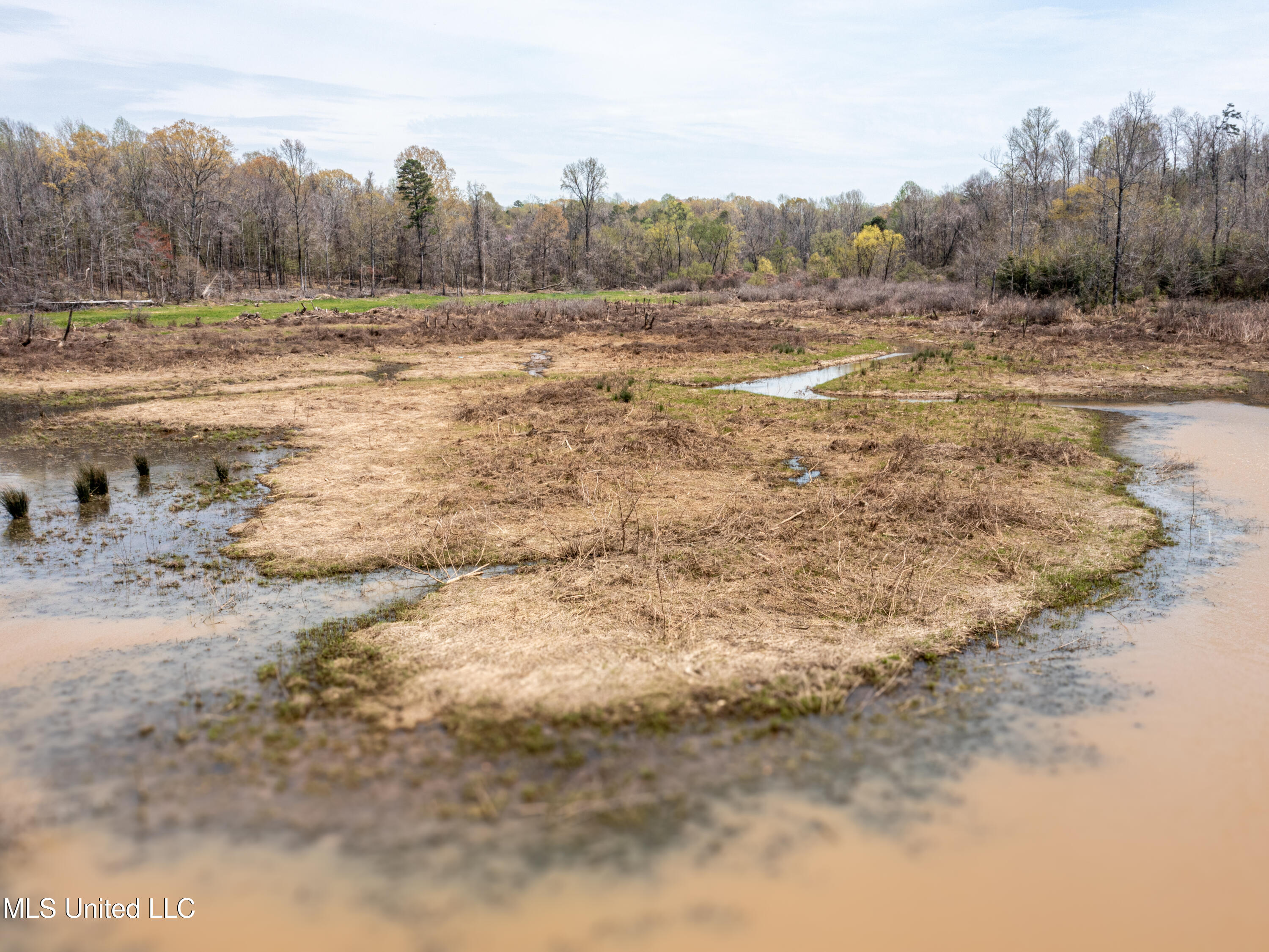 1172 Little Creek Drive, Oakland, Mississippi image 46