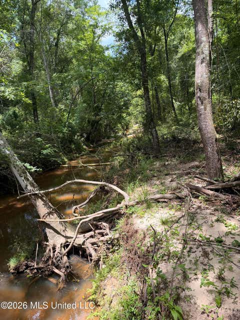 Vacant Land For Sale - River Road<br/> Amite County, Liberty, MS 39645