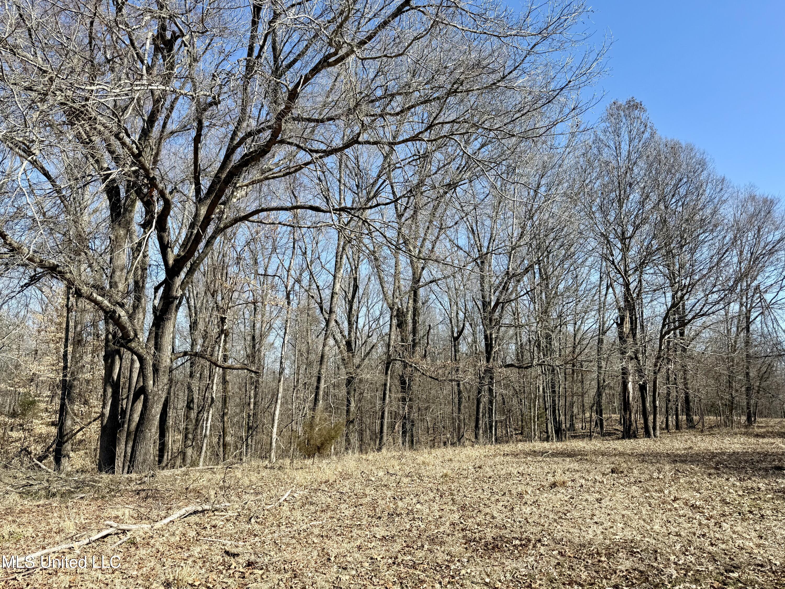 Franks Rd, Coldwater, Mississippi image 6