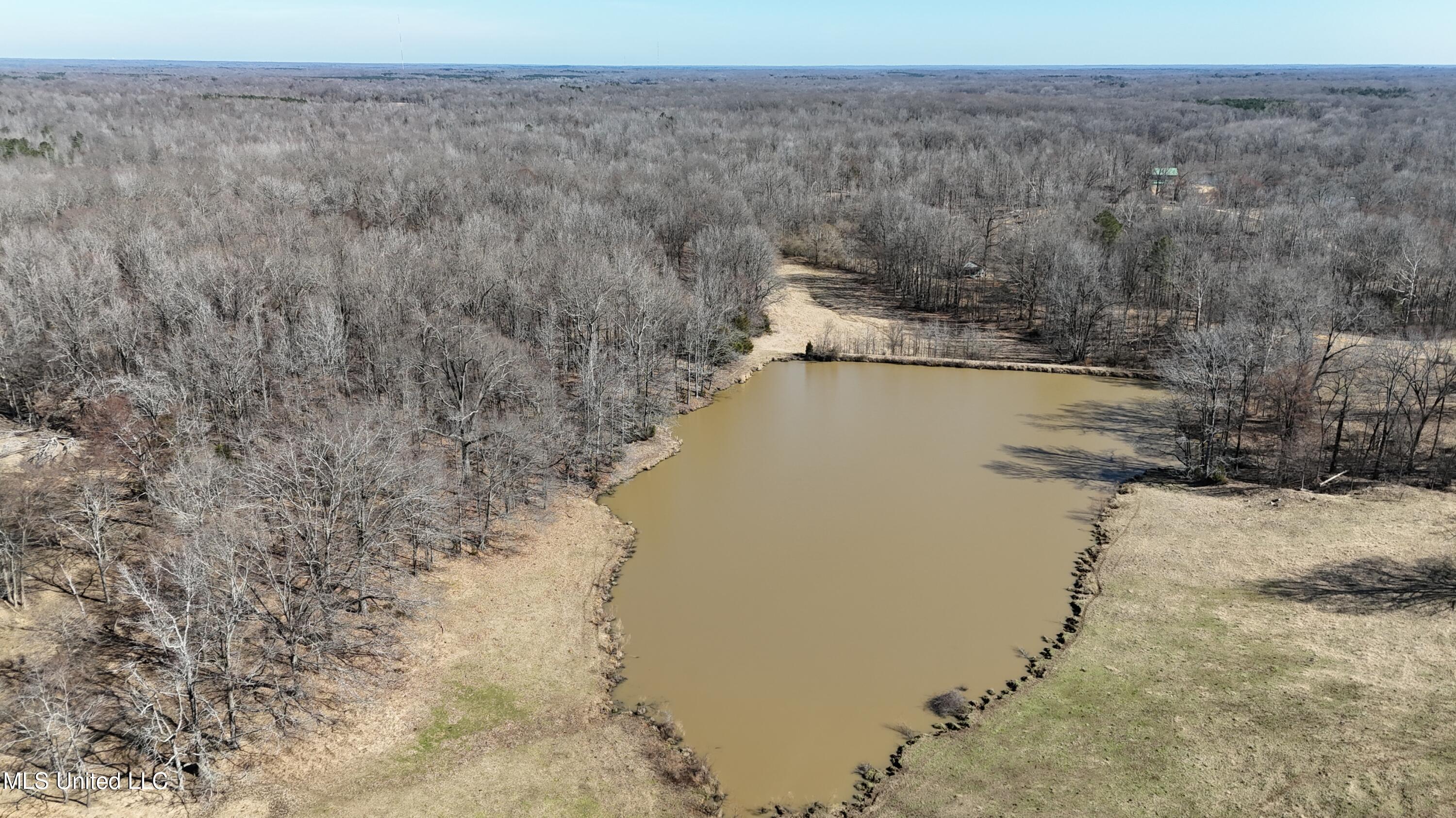 Franks Rd, Coldwater, Mississippi image 20