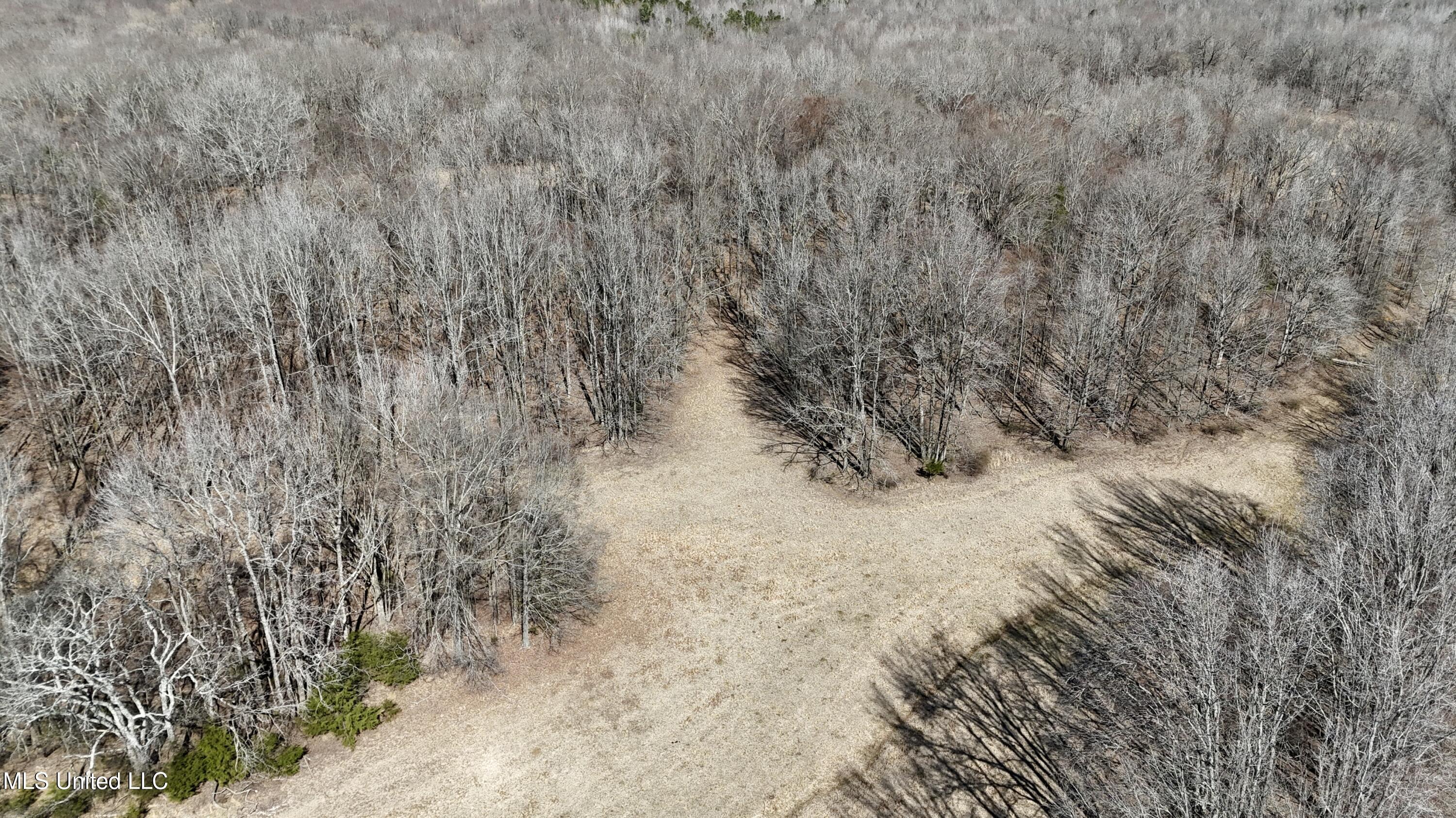 Franks Rd, Coldwater, Mississippi image 23