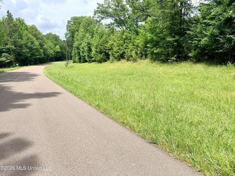 Vacant Land For Sale - W Hudson Drive<br/> Hinds County, Utica, MS 39206