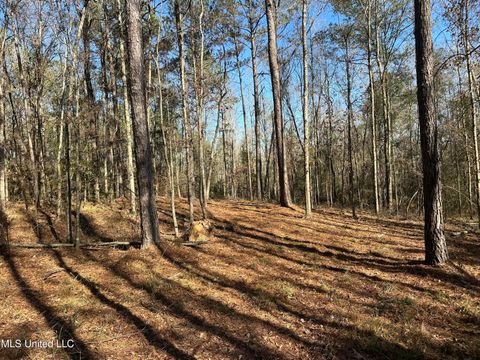 Vacant Land For Sale - 0000 Crooked Creek Road<br/> Lawrence County, Silver Creek, MS 39663