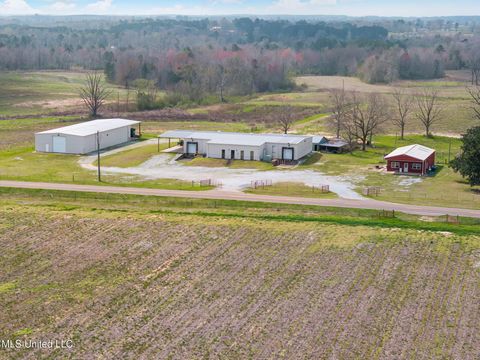 Vacant Land For Sale - 300 Acres +/- Hwy 532<br/> Covington County, Mount Olive, MS 39119