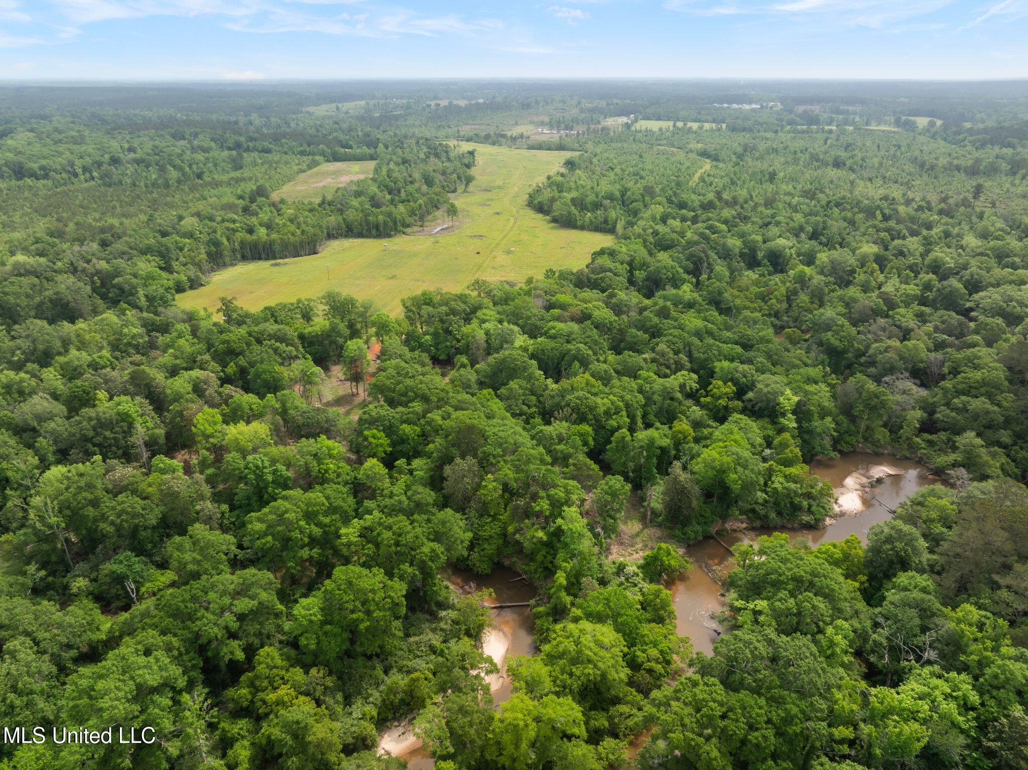 81.64 Acres William Warren Road, Collins, Mississippi image 36