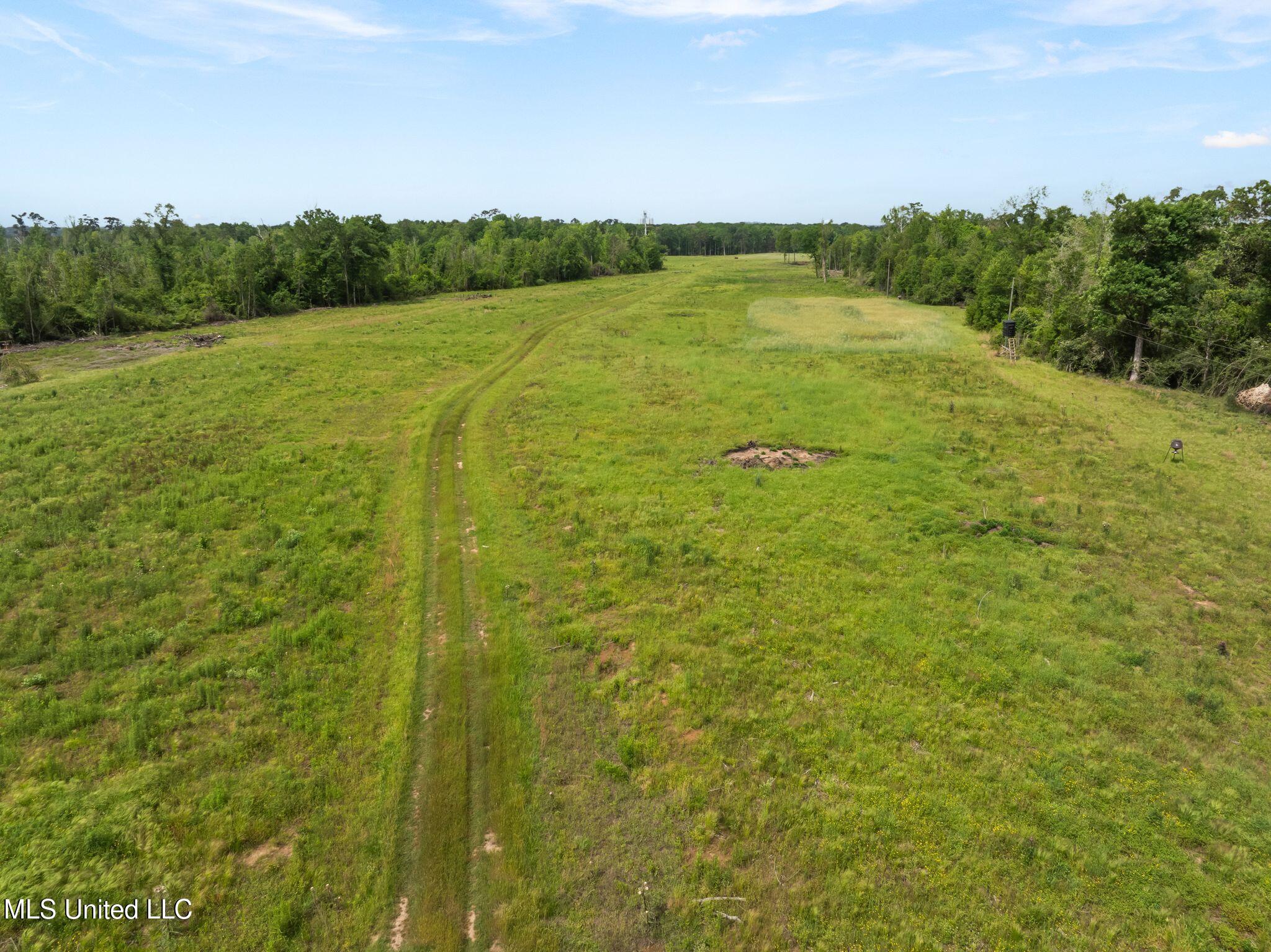 81.64 Acres William Warren Road, Collins, Mississippi image 21