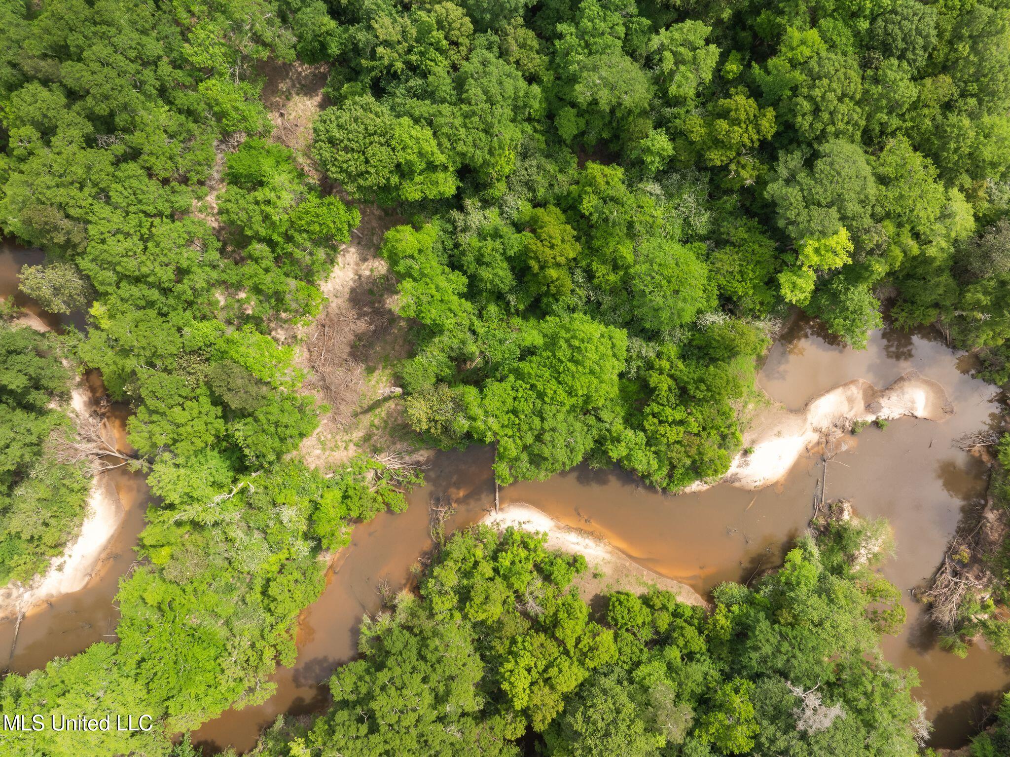 81.64 Acres William Warren Road, Collins, Mississippi image 31