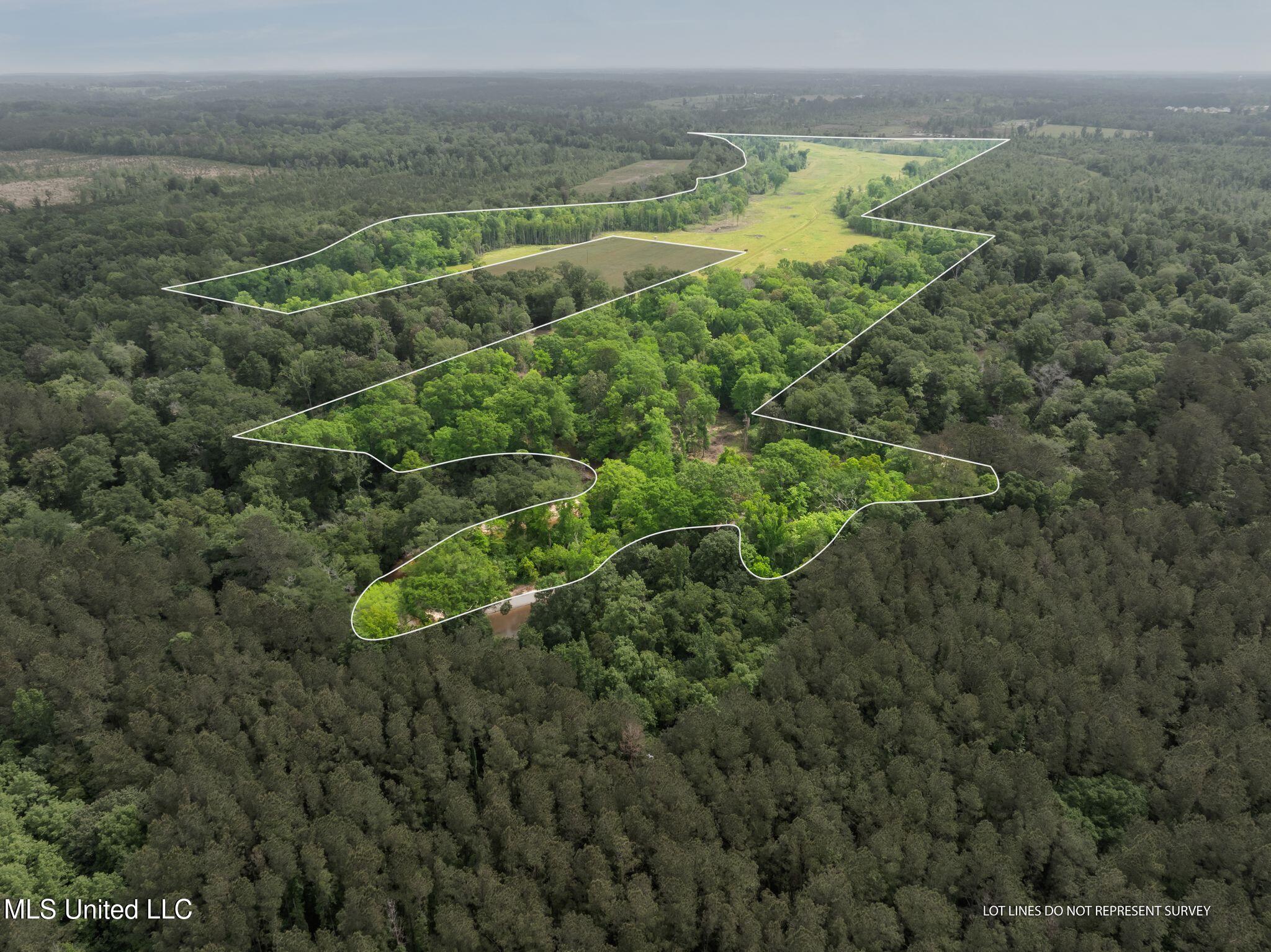 81.64 Acres William Warren Road, Collins, Mississippi image 2