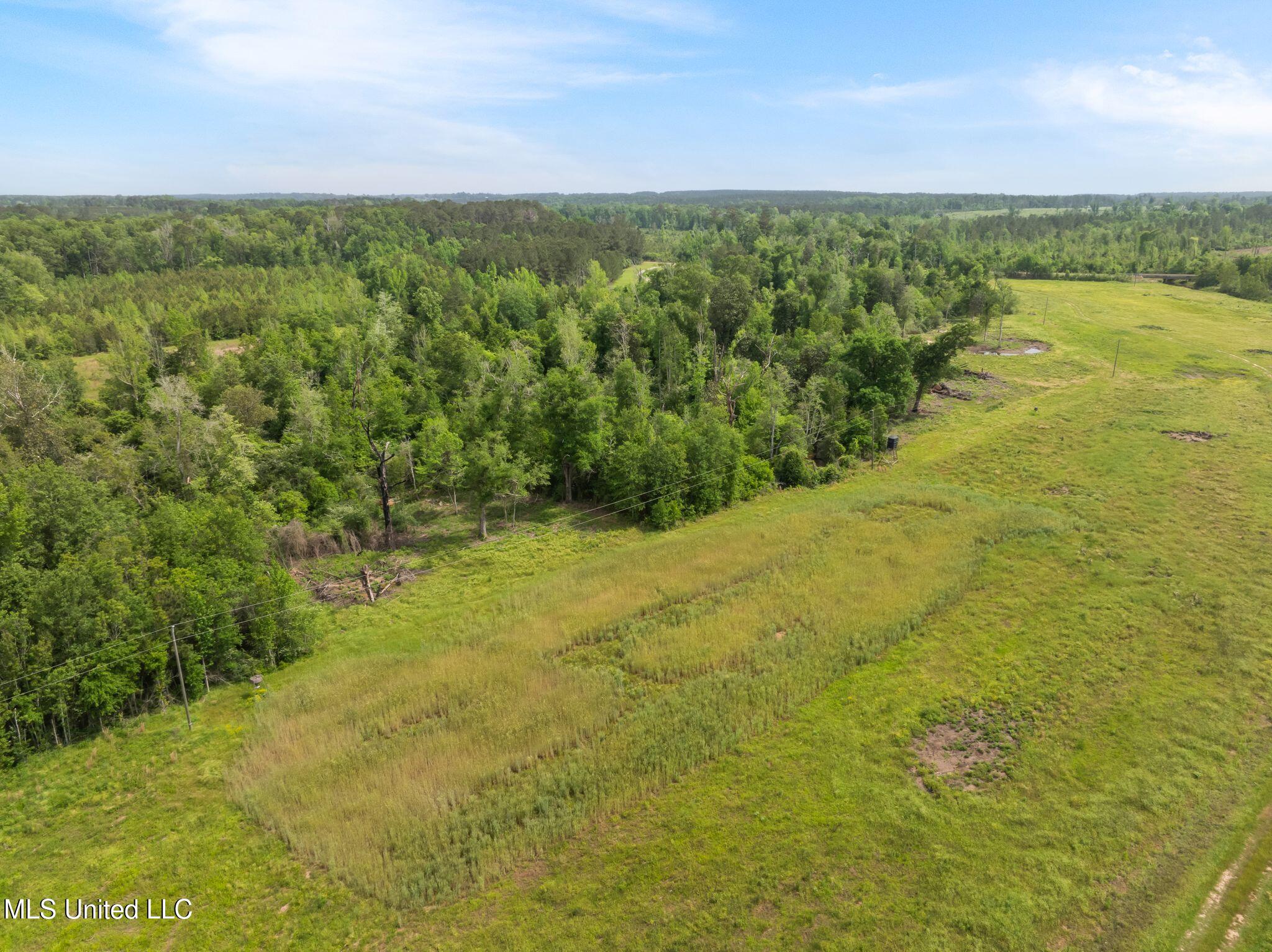 81.64 Acres William Warren Road, Collins, Mississippi image 25
