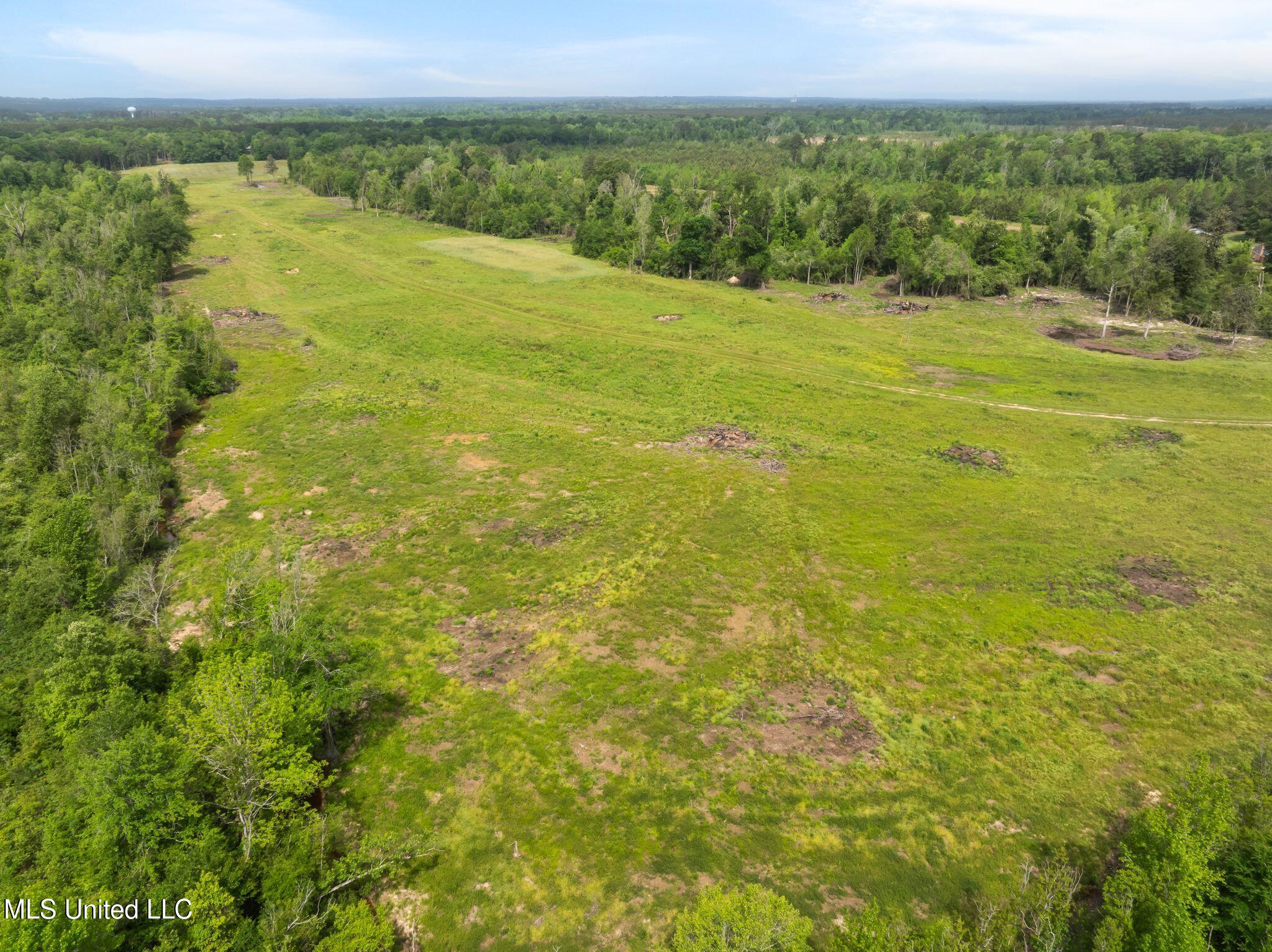 81.64 Acres William Warren Road, Collins, Mississippi image 26