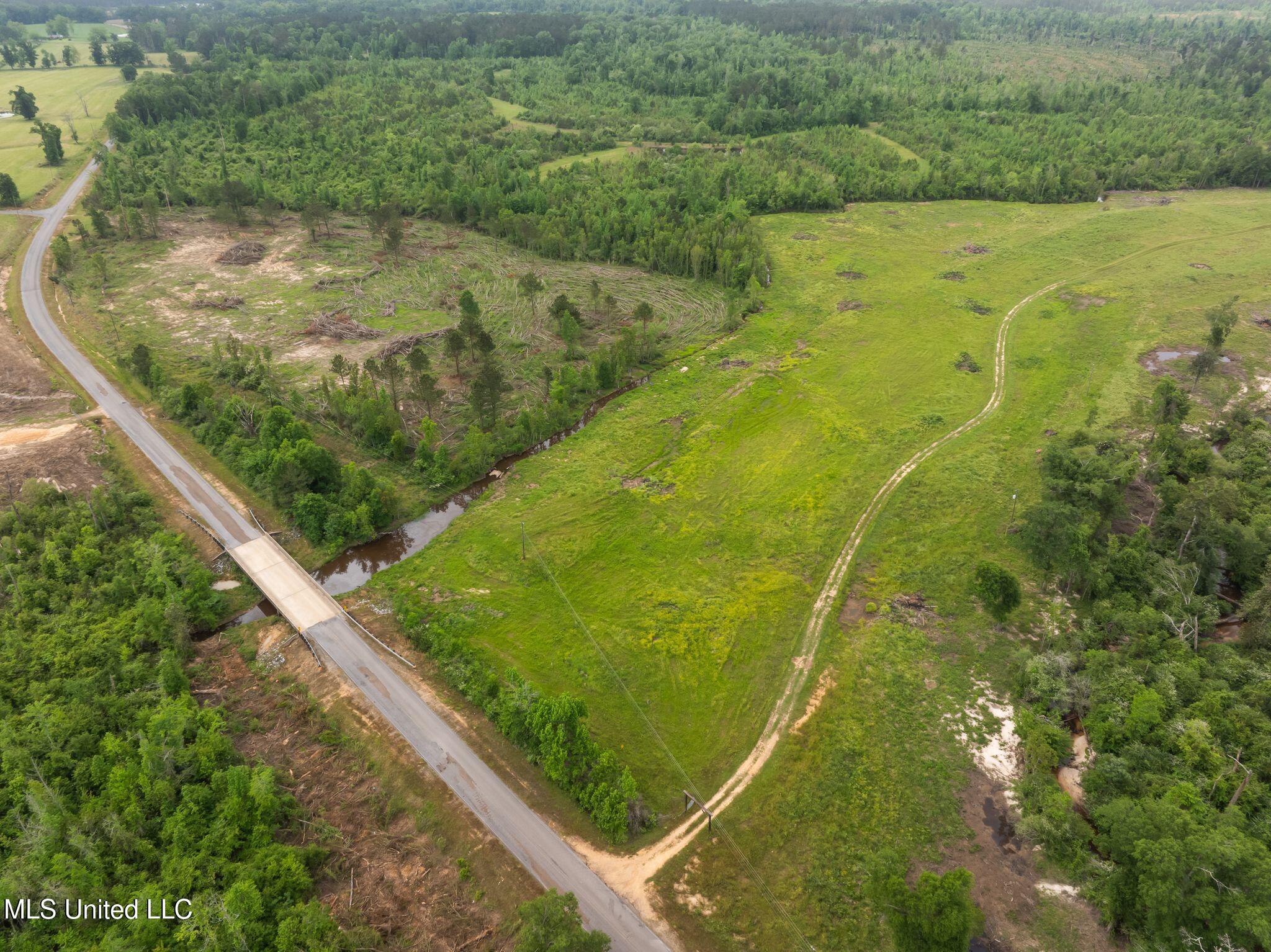 81.64 Acres William Warren Road, Collins, Mississippi image 34