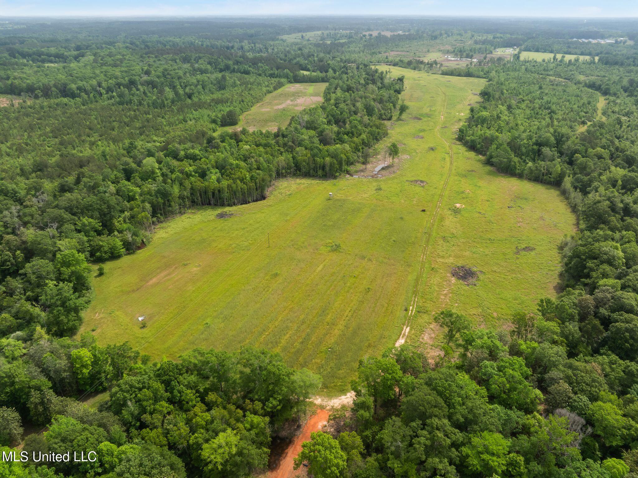 81.64 Acres William Warren Road, Collins, Mississippi image 38