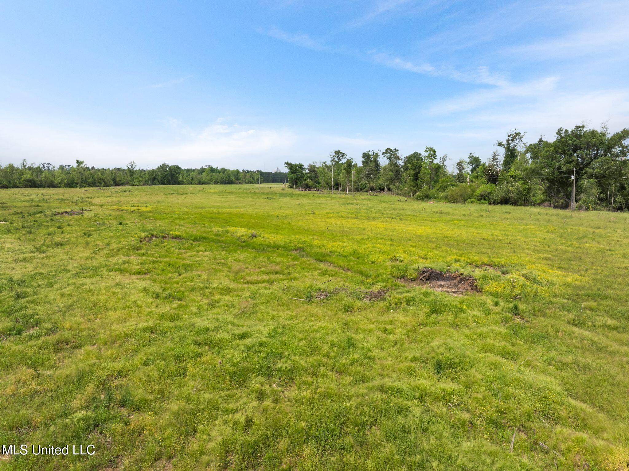 81.64 Acres William Warren Road, Collins, Mississippi image 10
