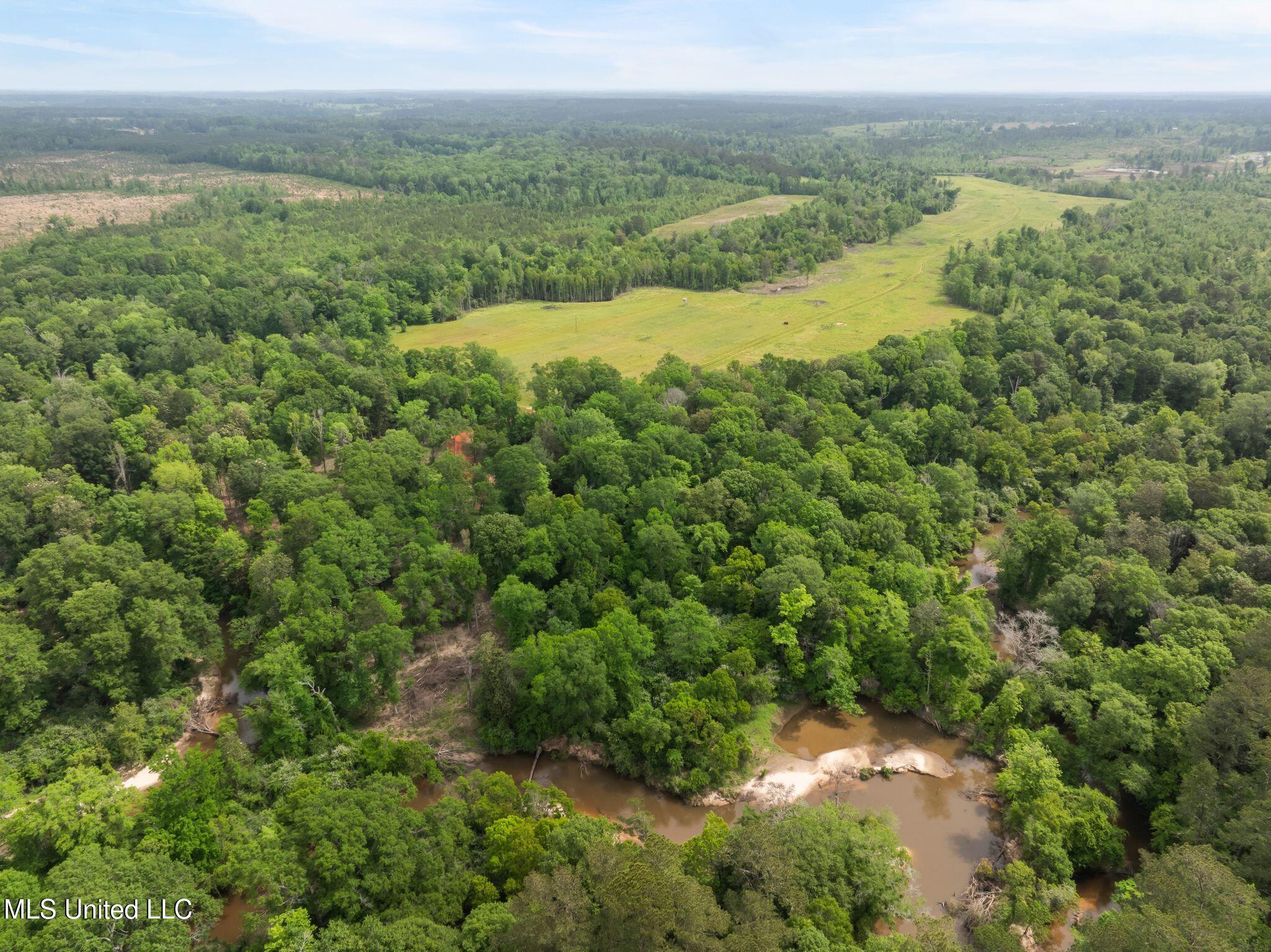 81.64 Acres William Warren Road, Collins, Mississippi image 37